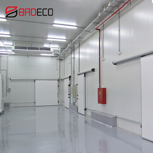 Keep Food Fresh Insulation PU Cold Storage